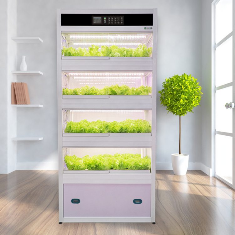 家庭陽臺無土栽培 智能立體種植系統與信息技術服務的融合